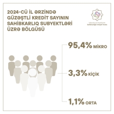 Güzəştli kreditlərin sahibkarlar üzrə bölgüsü - AÇIQLANDI | FED.az