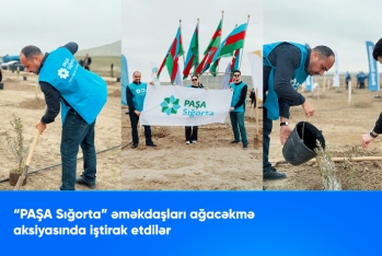 "PAŞA Sığorta" ağacəkmə aksiyasına qoşuldu