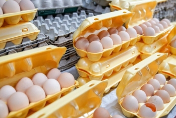 Azərbaycandan Rusiyaya 25,3 milyon yumurta - İXRAC EDİLİB
