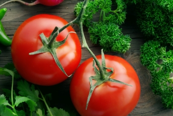 Ölkədə pomidorun bahalaşmasının səbəbləri - AÇIQLANIB