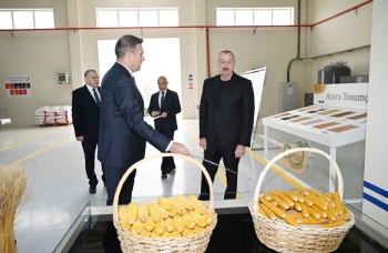 Sabirabad Sənaye Məhəlləsində toxum istehsalı müəssisəsinin fəaliyyəti ilə tanışlıq | FED.az