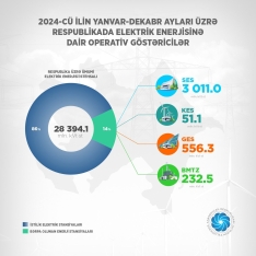 Nazir: "Ötən il elektrik enerjisi istehsalında bərpaolunan mənbələrin payı 14 faiz olub" | FED.az