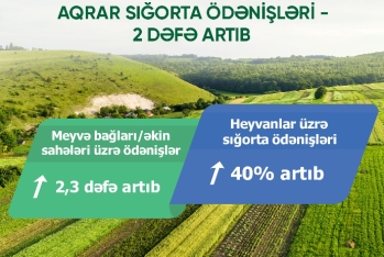 Aqrar Sığorta Fondunun fermerlər və təsərrüfatlara - SIĞORTA ÖDƏNİŞLƏRİ 2 DƏFƏ ARTIB