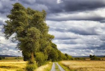 Sabahdan külək güclənəcək - XƏBƏRDARLIQ
