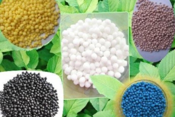 Hörmüz böhranına görə dünyada gübrə də bahalaşır