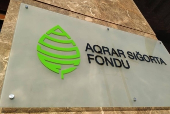 "Aqrar Sığorta Fondu" auditor axtarır - TENDER