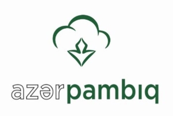 "Azərpambığ"ın ixrac gəlirləri kəskin azalıb