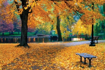 21 dərəcə isti - SABAHIN HAVA PROQNOZU