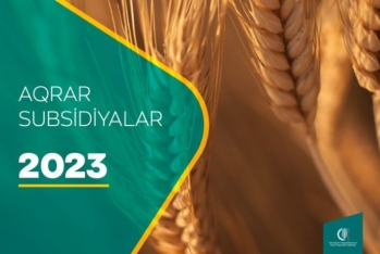 Aqrar Subsidiya Şurası 2023-cü il üçün subsidiya əmsallarını - AÇIQLADI
