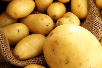 В России килограмм картофеля из Азербайджана стоит более 6 манатов - ФОТО