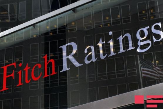 "Fitch": "PAŞA Bank" hökumətdən dəstək alır