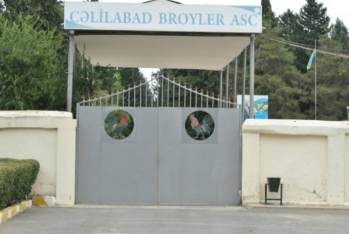 “Cəlilabad Broyler”  ASC-nin rəhbərliyi yenidən formalaşdırılacaq