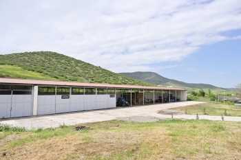 4 milyon manat yatırıb, Dubaya və Qətərə ət satacaq - İlham Əliyev "Qoç Ət"in Xocalıdakı təsərrüfatında - FOTOLAR | FED.az