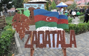 Qoz-fındıq festivalı üçün - 25 MİN MANAT