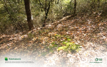 Rabitəbank Lənkəranda -[red] İMƏCİLİK AKSİYASI KEÇİRDİ[/red] | FED.az