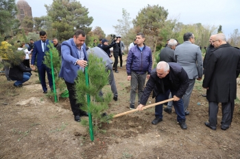 "Birbank" istifadəçilərinin dəstəyilə Gəncədə - [b]Ağacəkmə Aksiyası Keçirildi[/b] | FED.az