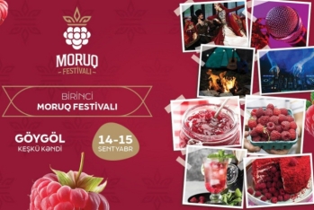 Azərbaycanda ilk dəfə “Moruq Festivalı” keçiriləcək