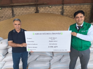 Cəmi 151 manat ödəyib, minlərlə manat sığorta ödənişi aldılar - Aqrar Sığortadan açıqlama | FED.az