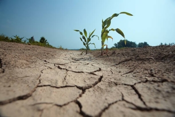 Impacts of drought in Azerbaijan: How does it harm the country? How can it be prevented? What is the international experience? – IMPORTANT STUDY FROM YOUNG RESEARCHERS