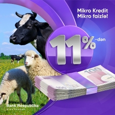 "Bank Respublika" Mikro Kredit faizlərini 11%-ə endirdi! | FED.az