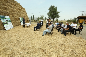 Dövlət dəstəyi ilə ilk aqrar sığorta ödənişi həyata keçirildi - MƏBLƏĞ | FED.az