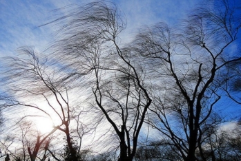 Həftənin ilk iş gününə gözlənilən - HAVA PROQNOZU