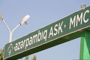 "Azərpambığ"ın gəlirləri 12 milyon dollardan çox azalıb