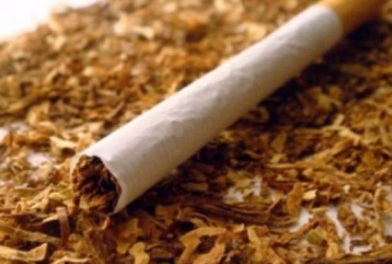 Azərbaycan tütün idxalını 12% artırıb