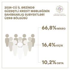 Güzəştli kreditlərin sahibkarlar üzrə bölgüsü - AÇIQLANDI | FED.az