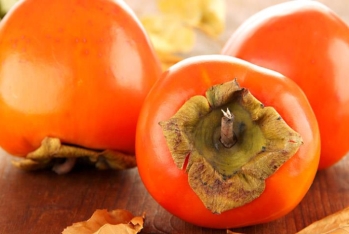 Xurma ixracı ötən il 144 milyon dollar valyuta gətirib