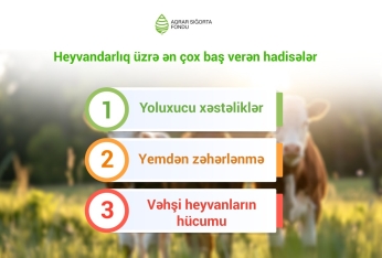 Fermerlər heyvanlarını daha çox sığortalayır: göstərici 2 dəfə yüksəlib | FED.az