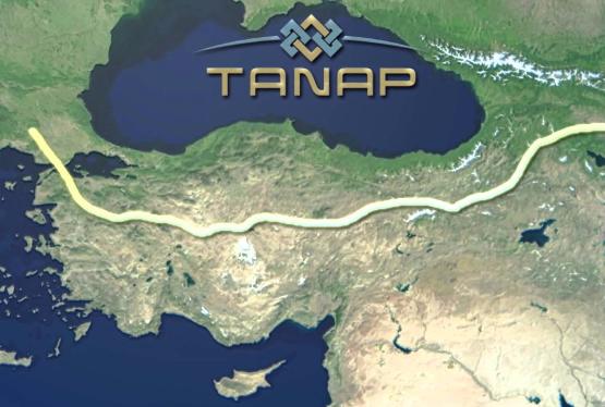 TANAP-ın sınaqdan keçirilməsi üçün 1-2 mlrd. kubmetr qaz lazımdır