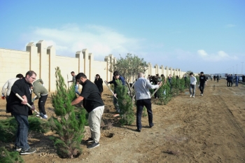 AzInTelecom» провел акцию по посадке деревьев по случаю Дня Победы | FED.az