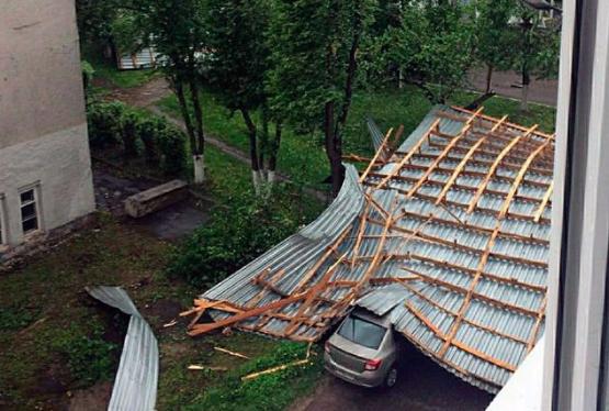 Это не ураган: метеоролог объяснил природное явление, унесшее жизни 11 москвичей