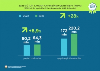 Elektrik enerjisi 1-ci, mahlıc 2-ci, meşə fındığı 3-cü olub - İXRAC İCMALI | FED.az