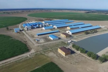 Azərbaycanda iki aqropark birləşir