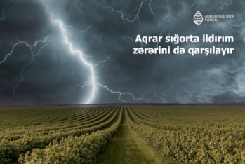 Aqrar sığorta ildırım zərərini də qarşılayır