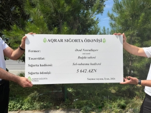 Cəmi 56 manata sığortaladığı əkin sahəsinə görə - [red]5600 manat ödəniş aldı[/red] | FED.az