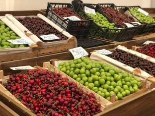 Bakı və Abşeronda “Kənddən Şəhərə” yarmarkaları - Təşkil Olunacaq - Ünvanlar | FED.az