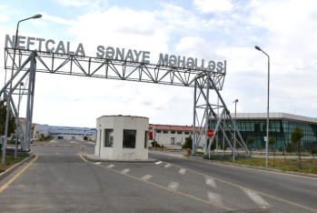 İlk dəfə Azərbaycanın balıq yemi xarici bazara çıxarıldı