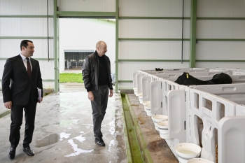 [red]100 hektar sahə, 9000 baş heyvan - “Şirvan Aqro” işə düşdü – İLHAM ƏLİYEV AÇILIŞDA[/red] | FED.az