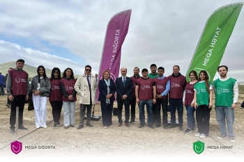 "Meqa Sığorta" əməkdaşları növbəti ağacəkmə kampaniyasında iştirak ediblər - [red]FOTOLAR[/red] | FED.az