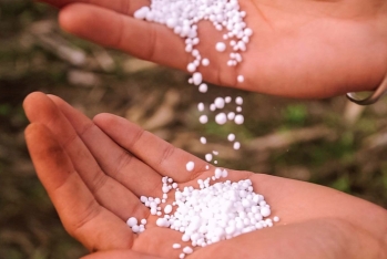 Azot gübrəsi ixracından gəlirlər 50% artıb - QİYMƏT KƏSKİN BAHALAŞIB