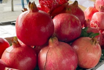 Fərhad Qaraşov: "Azərbaycanda bu il quraqlıq narın gec yetişməsinə səbəb olub"