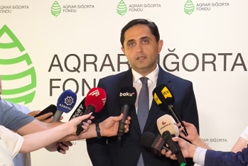 Aqrar Sığorta Fonduna bu il 40 milyon manatlıq məhsula zərər dəyməsi ilə bağlı müraciət daxil olub