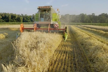 Deputat: "Sıravi fermerlər və sahibkarlar üçün torpaq icarəsi prosedurları sadələşdirilməlidir"