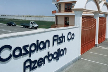 "Caspian fish co Azerbaijan" MMC - CƏRİMƏ OLUNA BİLƏR