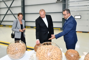 Prezident badam emalı zavodunu işə saldı - FOTO | FED.az