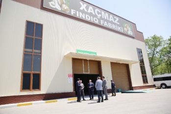 Xaçmazda yeni fındıq emalı fabriki inşa olunub - FOTO | FED.az