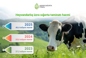 Fermerlər heyvanlarını daha çox sığortalayır: göstərici 2 dəfə yüksəlib | FED.az